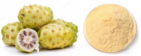 noni fruit and powder