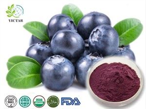 زغال اخته آنتوسیانین
