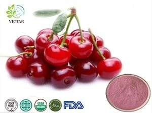 پودر میوه گیلاس