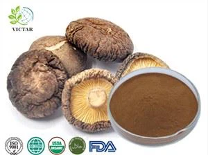 عصاره قارچ Shiitake