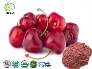 تارت گیلاس پودر