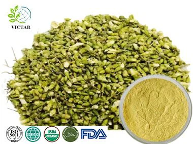 استخراج Sophora Japonica